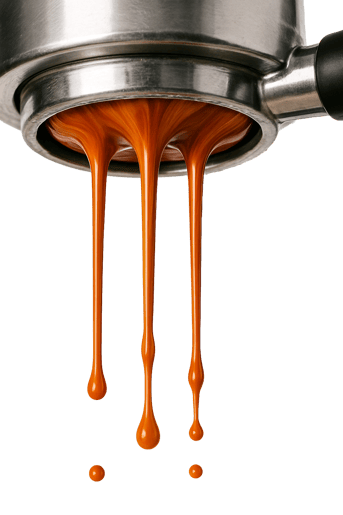 Espresso Dripping Bottomless Portafilter - Liz Happybeans