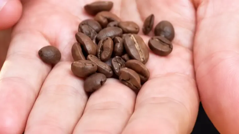 Liz holding coffee beans for a closer look